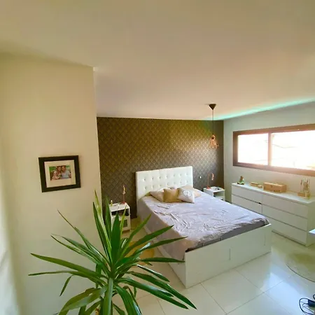 Βίλα Grande Avec Piscine Alénya
